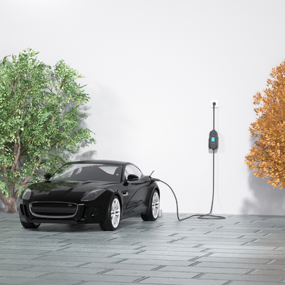 Chargeur électrique portable de 3,5 kW à phase unique monté sur le mur avec prise de charge et détection de l'isolation